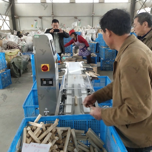 Multi-Level Sorting Check Weigher For Seafood,Horizontal Fruit Weight Grader Machine