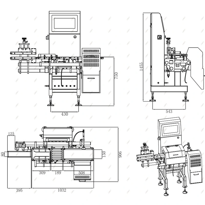 High Speed Automatic Weight Checker Stainless Steel Check Weight Machine
