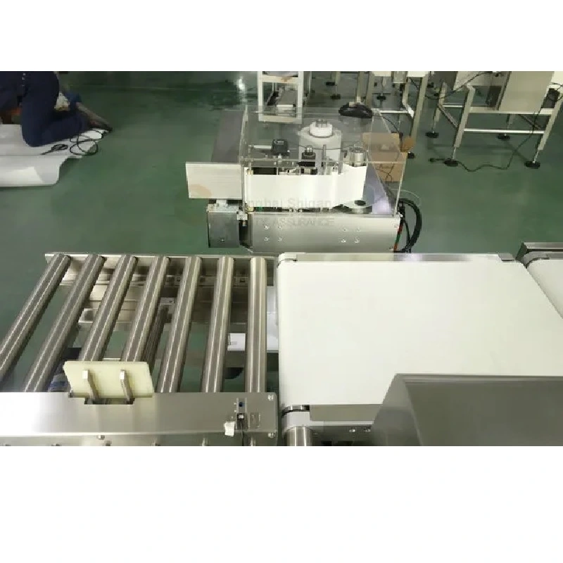 Industrial High-Precision Online Weighing Printing Automatic Labeling Machine