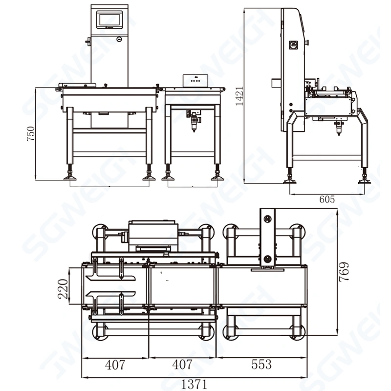 Automatic Granule Food Grain Snack Bottle/Can Check Weight Machine 
