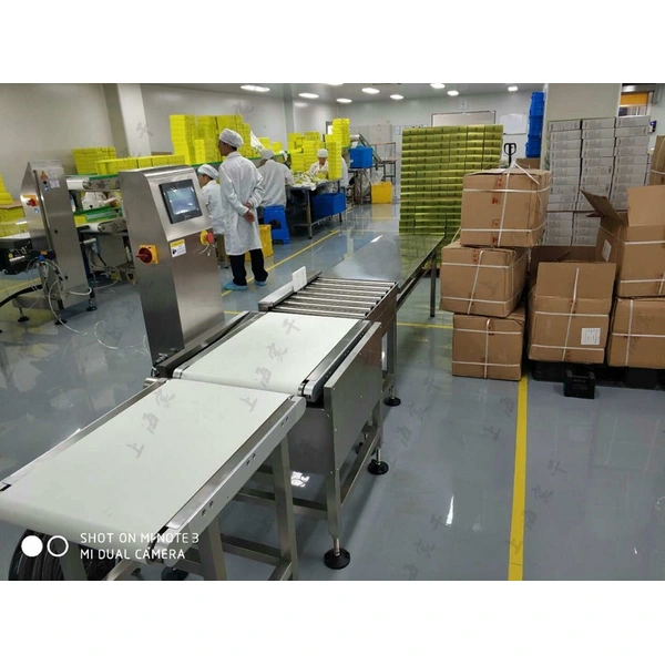5kg-25kg Automatic Carton Box Checkweigher Weight Checker for Packaging Line