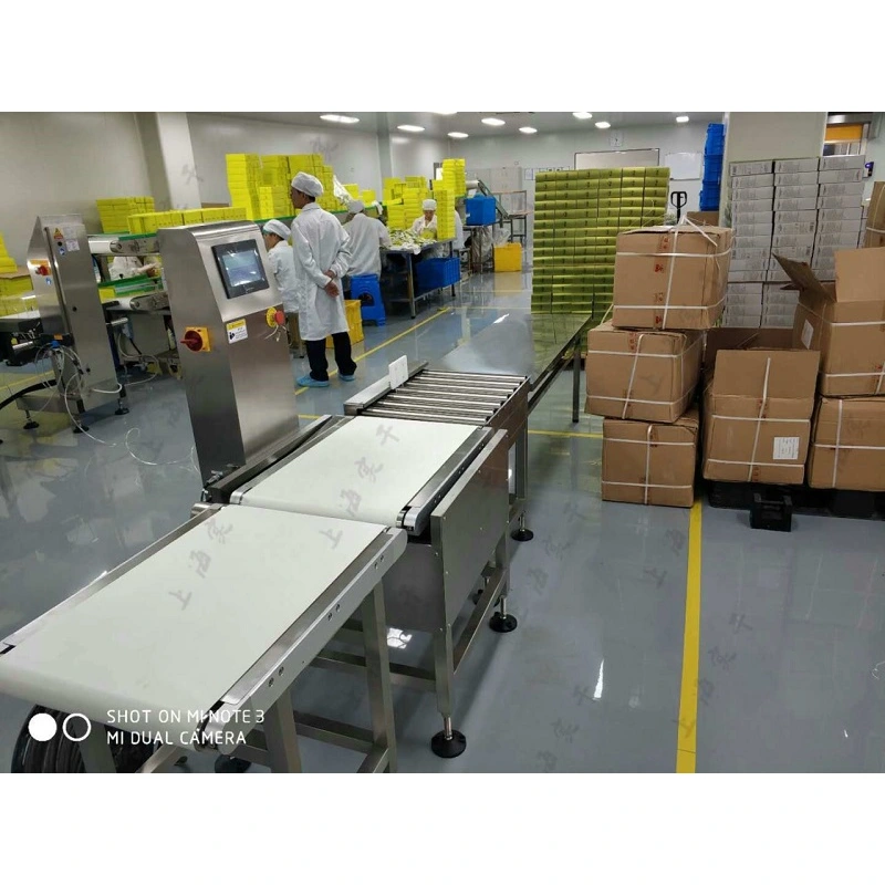 5kg-25kg Automatic Carton Box Checkweigher Weight Checker for Packaging Line