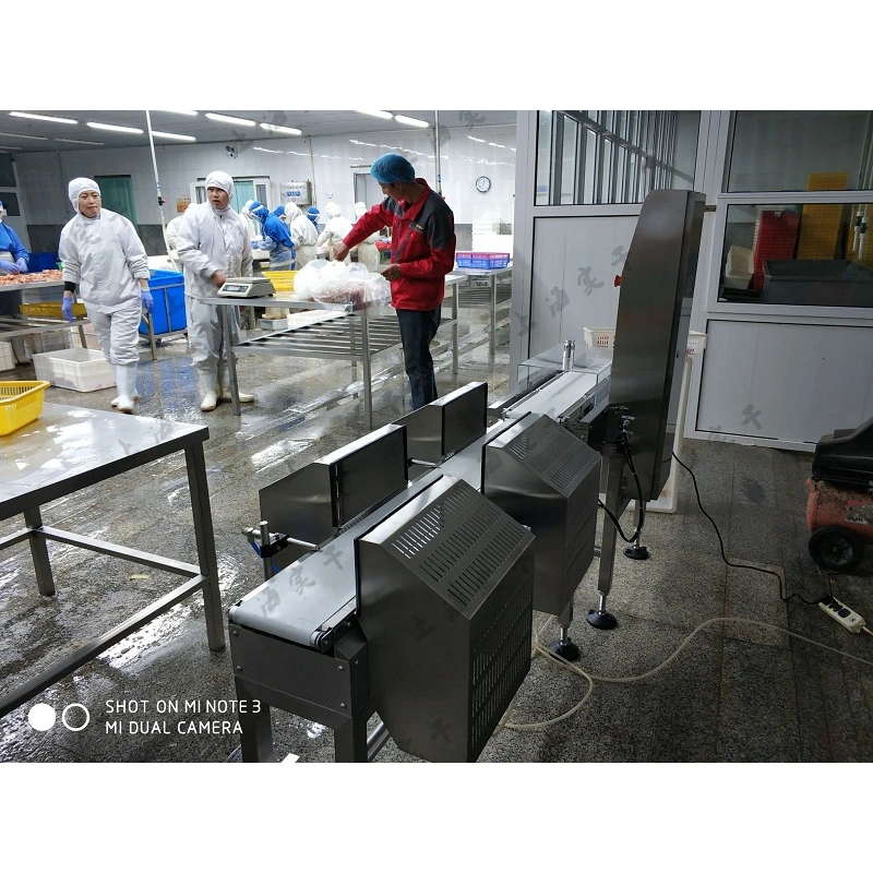 Five-Level Weight Sorting Scale,Push Plate Type Accurate Sorting Machine,Custom Checkweigher Manufacturer