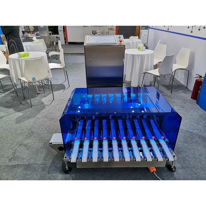 High Precision Dynamic Multi Lane Check Weigher Connect with Packing Machine