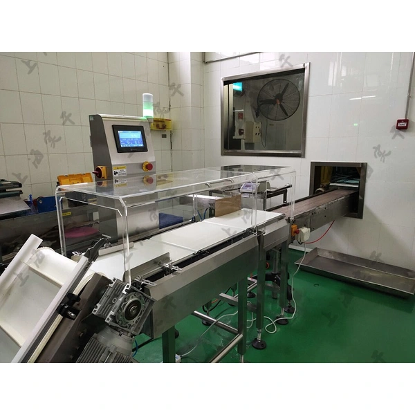 Conveyor Belt Food Online Checkweigher with Touch Screen | Cartons-Bottles-Vials - Pouches
