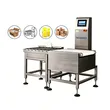 Auto Online Heavy Object Checkweigher for Industrial Production | High Accuracy Weighing Machine Manufacturer