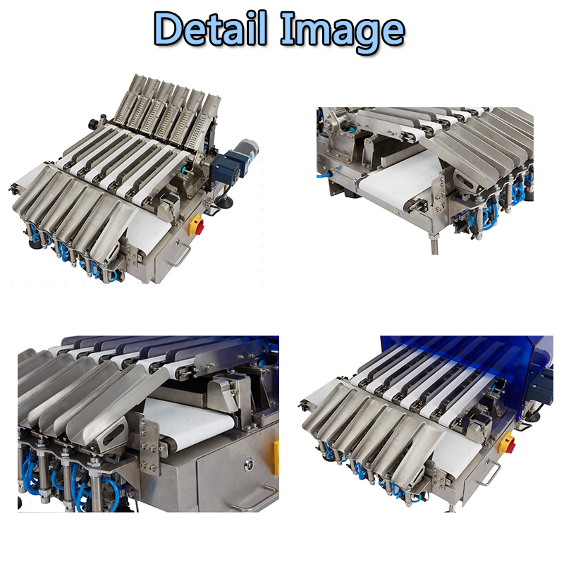 Multi-Lane Separation Check Weigher For Unqualified Product
