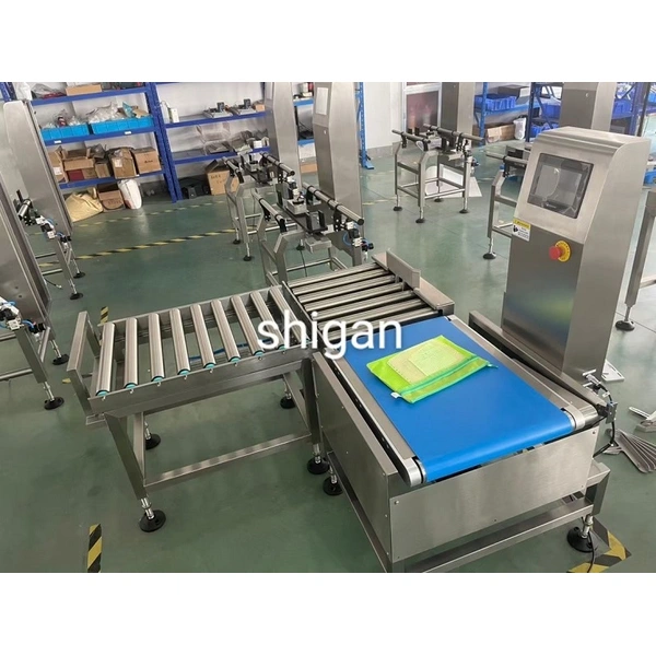 Large-Range Intelligent Checkweigher Box-Mounted Automatic Weight Detection Machine