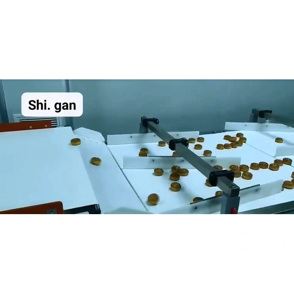 High Performace Food Grade Conveyor Cashew Metal Detector Machine