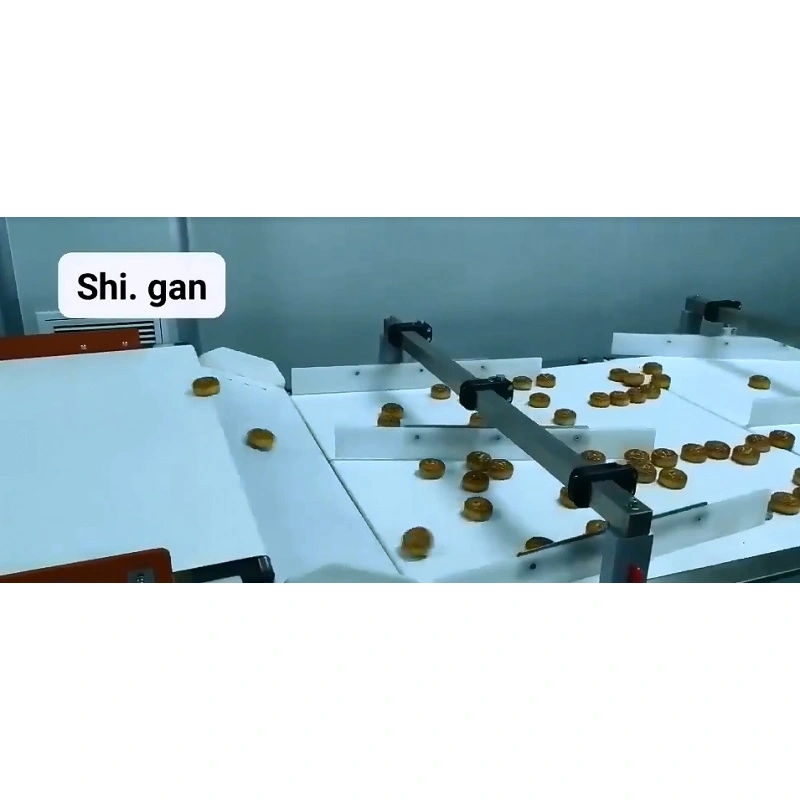 High Performace Food Grade Conveyor Cashew Metal Detector Machine