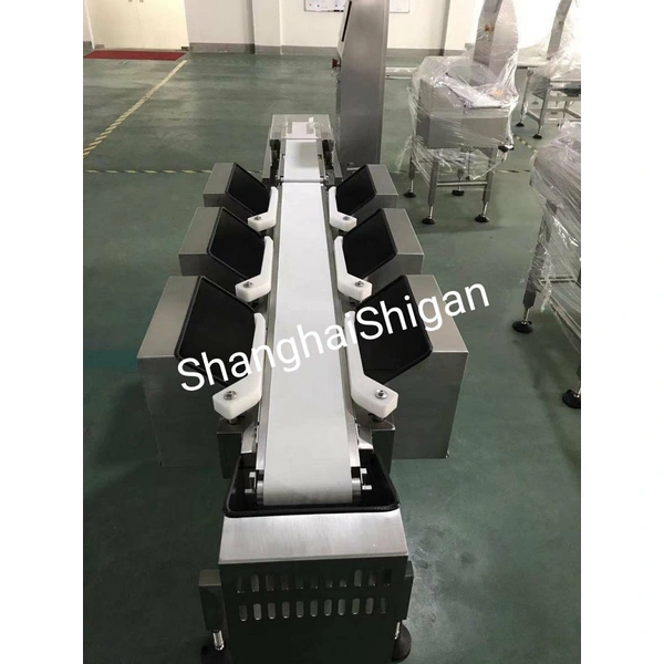 Multi Level Weight Sorting Machine High Accuracy Sorting Check Weigher 