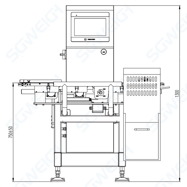 Professional Weight Inspection Machine Automatic Digital Food Conveyor Checkweigher
