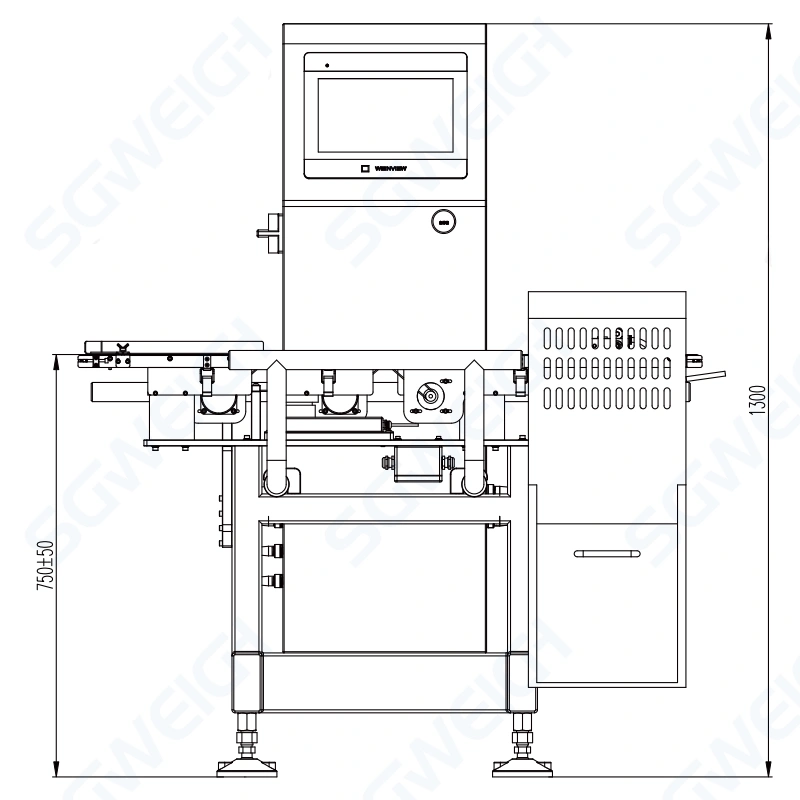 Professional Weight Inspection Machine Automatic Digital Food Conveyor Checkweigher