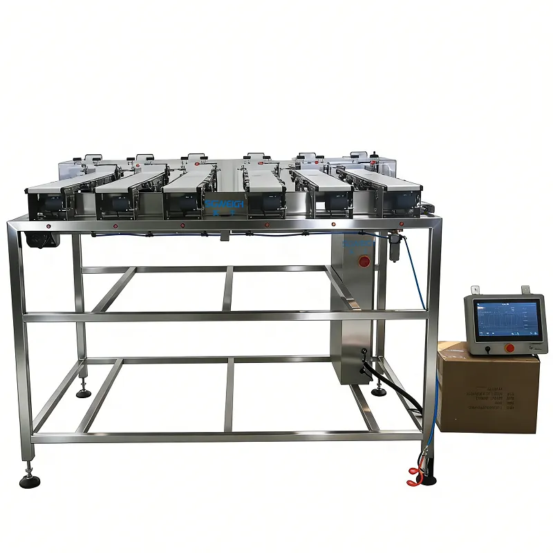 6-Lane Stick Pack Industrial Checkweigher for High-Speed Multilane Packaging