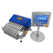 Sachets Multi-lane Checkweigher Built-in Weighing System OEM/ODM 6-line Sticks Check Weighers