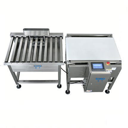20KG Large Packaging Product Check Weigher Online Dynamic Heavy Duty Weighing Machine