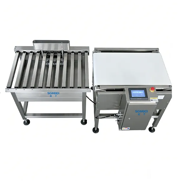 20KG Large Packaging Product Check Weigher Online Dynamic Heavy Duty Weighing Machine