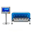 SG-10XM High Precision 0.01g Multi Lane Check Weigher for Stick Pack