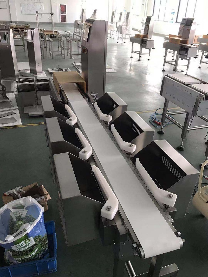 Multi-Level Weight Grader Machine,