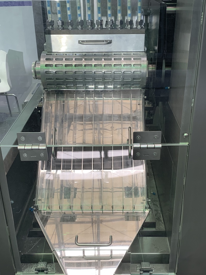 Multi-Lane Capsule Checkweigher-ShiGan