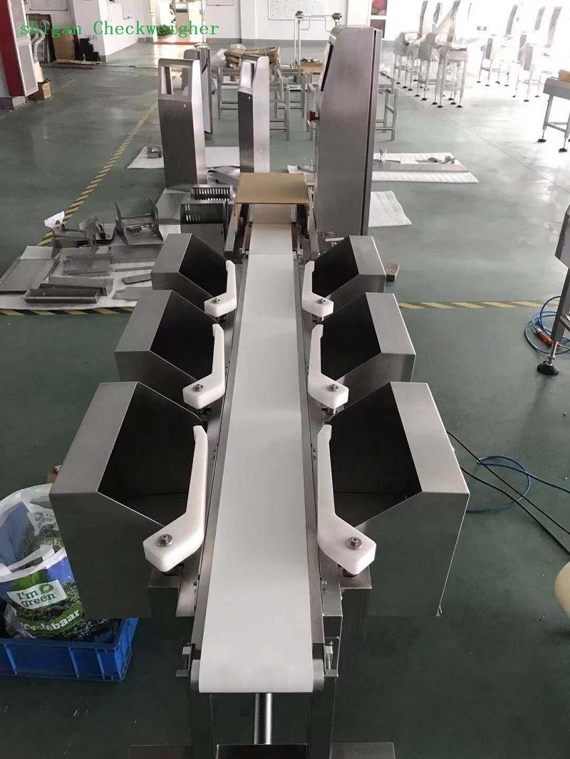 Multi-Level Weighing Check Weight Machine