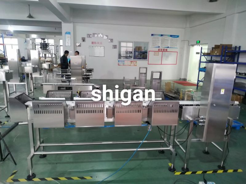 SG-D300 Fully Automatic Stainless Steel Multi-Stage Weight Sorting Checkweigher