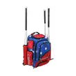 Custom Logo Baseball Bat Bag Portable Multi Compartment Softball Gear Bag