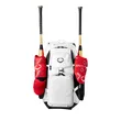 Custom Logo Baseball Bat Bag Portable Multi Compartment Softball Gear Bag