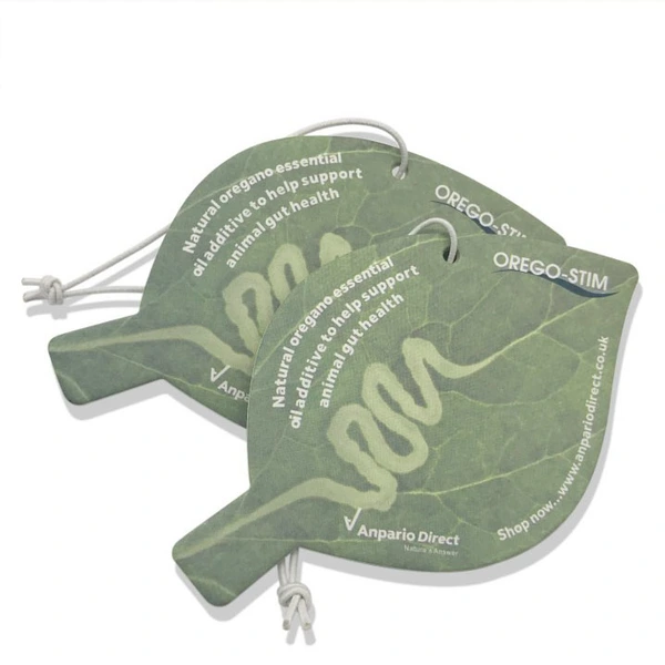 2 Sided Full Colour Air Fresheners for Car Home Indoor