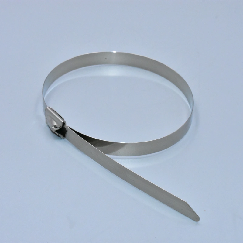 High-Tensile Stainless Steel Cable Ties for Industrial & Marine Use