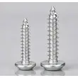 304 Stainless Steel Round Head Self-Tapping Screw‌ - Rust-Proof, No Pre-Drilling, Ideal for Furniture & DIY Projects