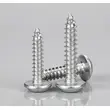 304 Stainless Steel Round Head Self-Tapping Screw‌ - Rust-Proof, No Pre-Drilling, Ideal for Furniture & DIY Projects