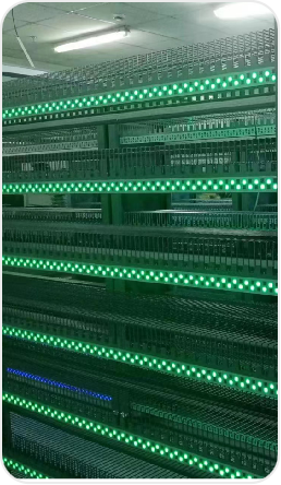 منطقة التخزين