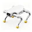 AGIBOT D1 Pro & D1 Edu | Quadruped AI Robot for Education & Research
