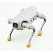AGIBOT D1 Pro & D1 Edu | Quadruped AI Robot for Education & Research