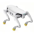 AGIBOT D1 Pro & D1 Edu | Quadruped AI Robot for Education & Research