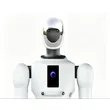 Galbot G1 Wheeled Dual-Arm Humanoid Service Robot