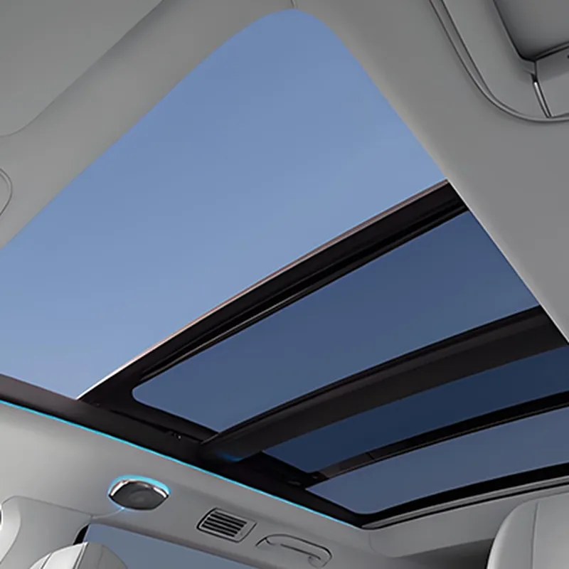 Sunroof protective film