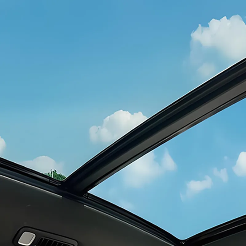 Sunroof protective film