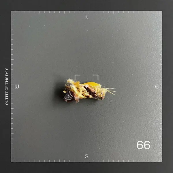  Factory supply 8mm diameter twisted cord piping tape for sofa  