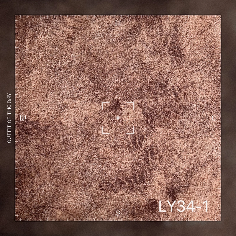 THE DUTCH VELVET PRINTING VELVET UPHOLSTER FABRIC SOFA FABRIC HOMETEX 