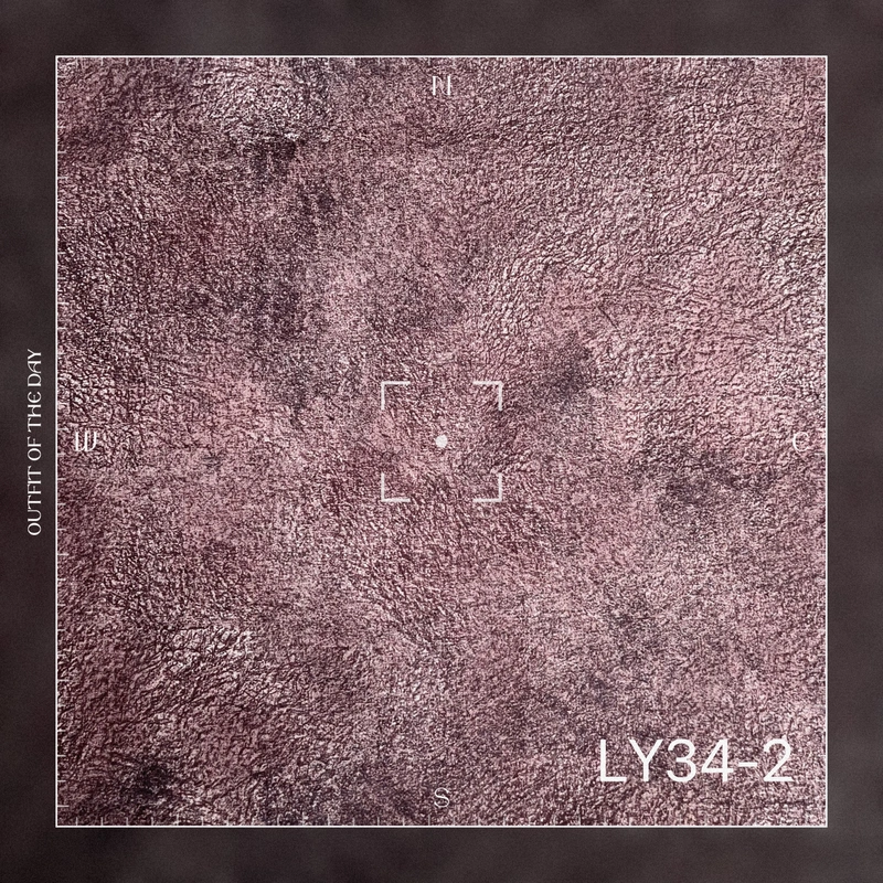 THE DUTCH VELVET PRINTING VELVET UPHOLSTER FABRIC SOFA FABRIC HOMETEX 