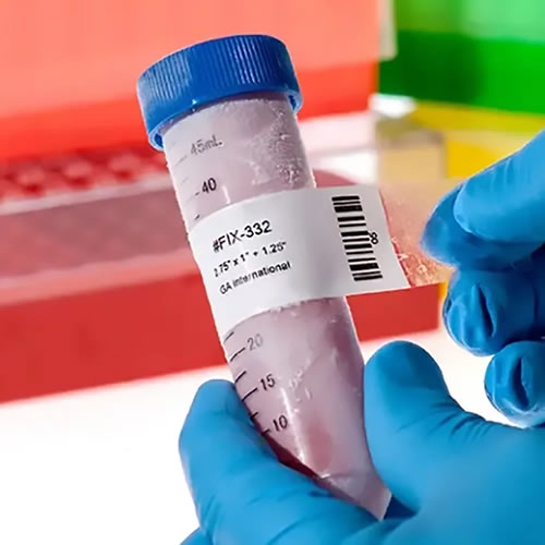 Custom Cryogenic & Low Temperature Resistant Lab Labels