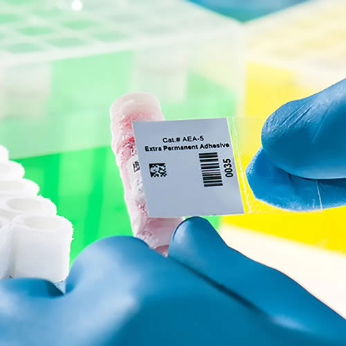 Custom Low Temp Laboratory Labels – Cryogenic & Durable
