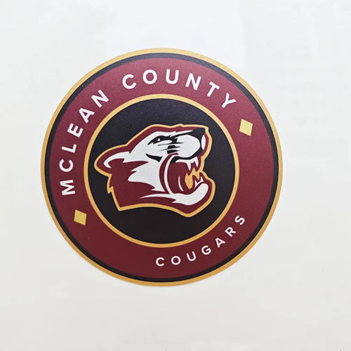 Custom Magnets – Fridge & Car Magnetic Signs with Custom Shapes