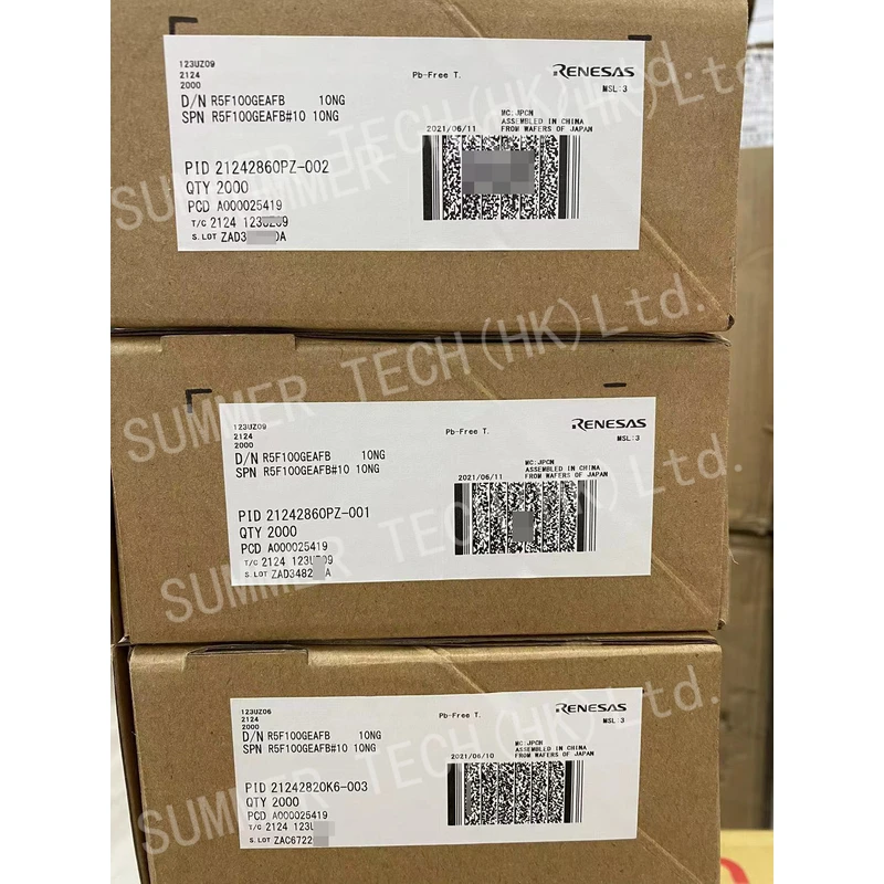 R5F100GEAFB#10