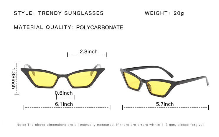 china Cat Eye Plastic Sunglasses manufacturers.jpg