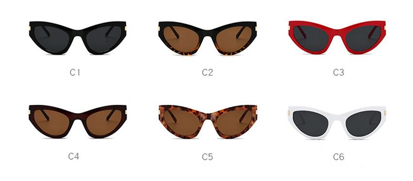 customized PC sunglasses