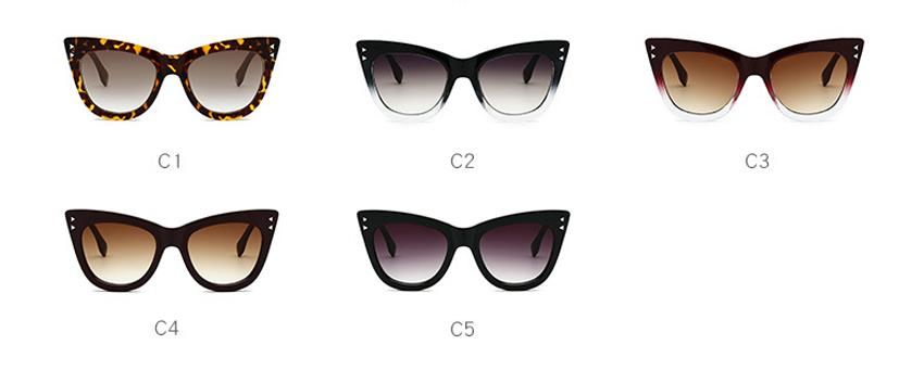 customized brand cat eye sunglasses