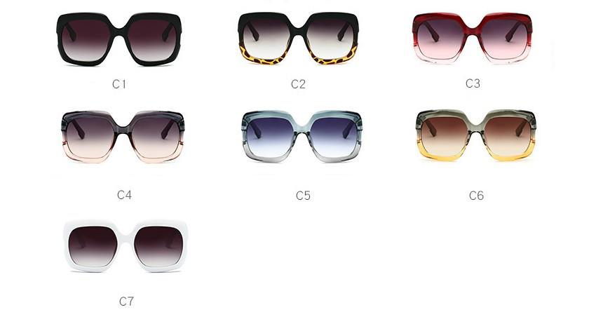 customized novel women sunglasses